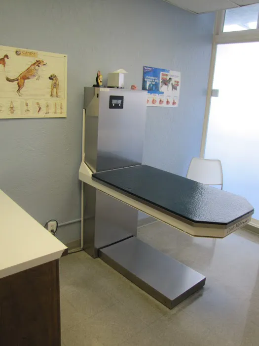 Shield Stone Pet Hospital Picture 8