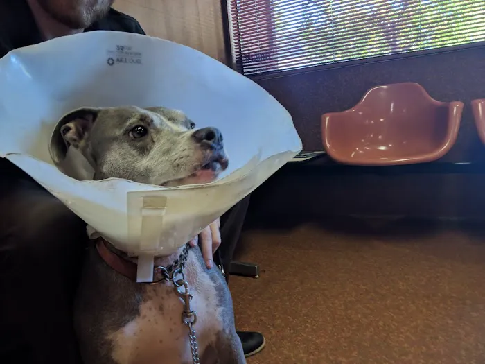 Animal Medical Clinic Picture 2