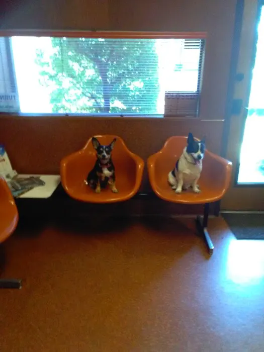Animal Medical Clinic Picture 8