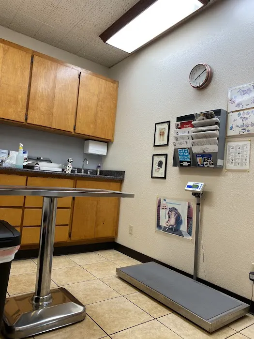 Dog & Cat Veterinary Clinic Picture 4