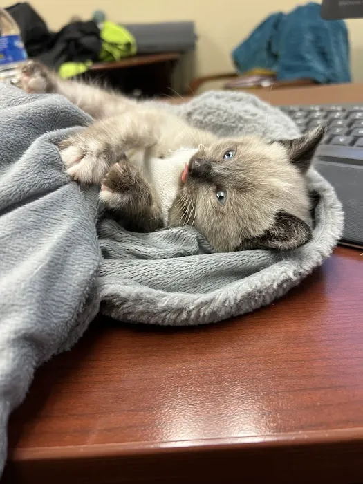 Abby Pet Hospital Picture 1