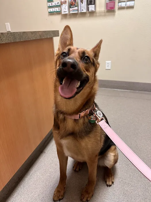 Abby Pet Hospital Picture 5