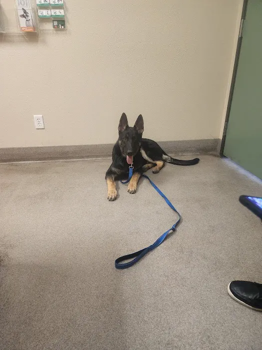 Abby Pet Hospital Picture 7