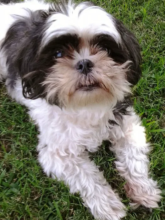 Abby Pet Hospital Picture 10
