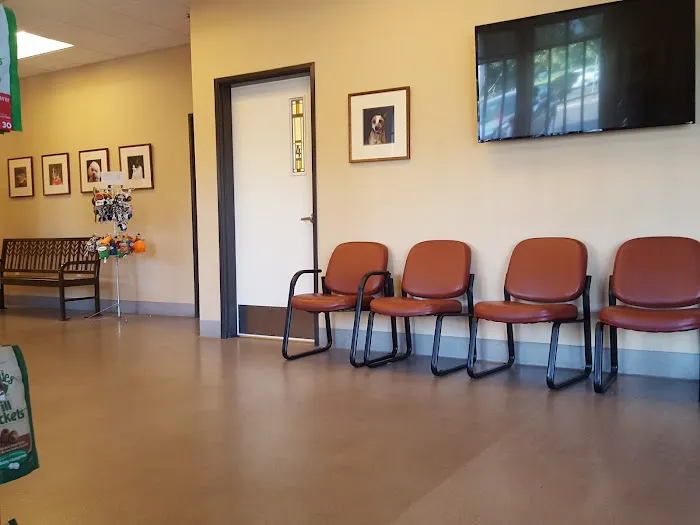 Abby Pet Hospital Picture 9