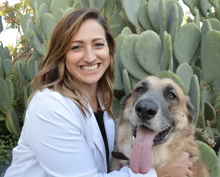 Dermatology Pet Care Picture 3