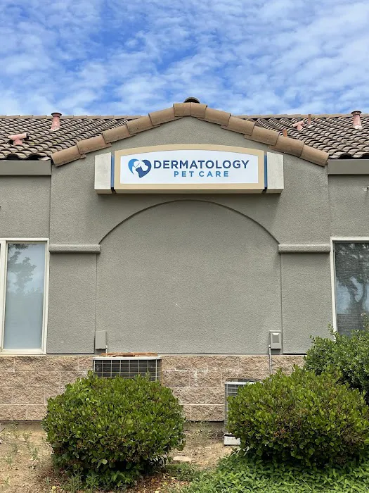 Dermatology Pet Care Picture 1