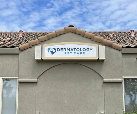Dermatology Pet Care