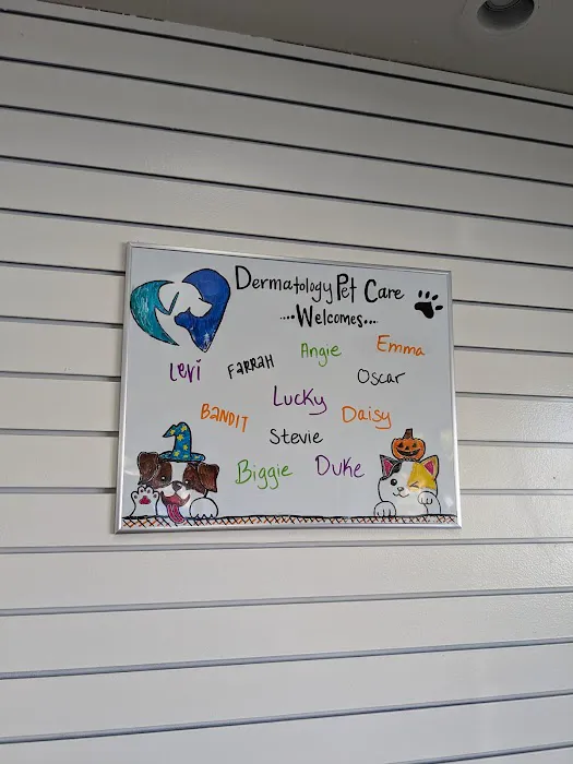 Dermatology Pet Care Picture 8