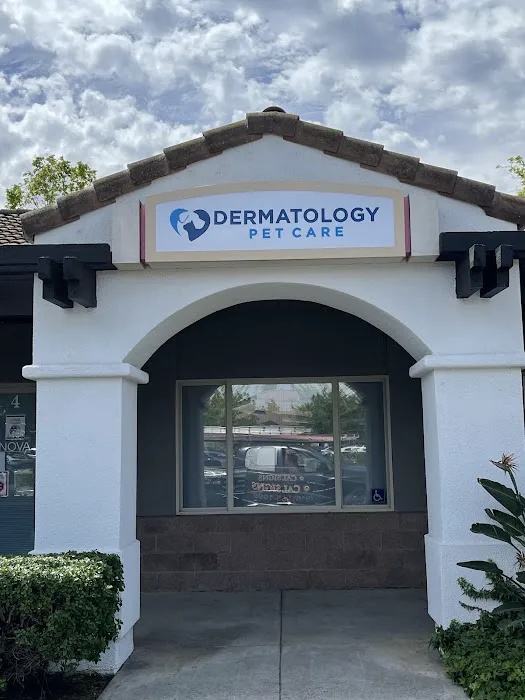 Dermatology Pet Care Picture 5