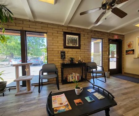 River City Cat Clinic