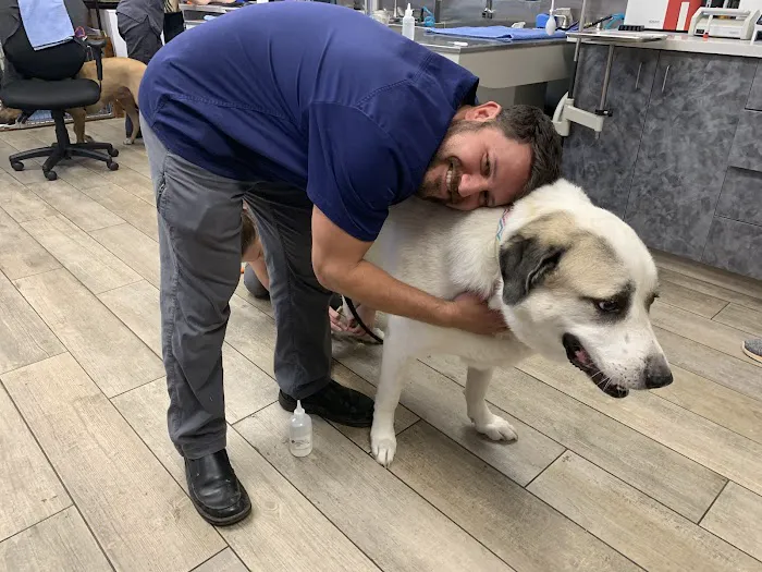 Broadway Veterinary Hospital Picture 1