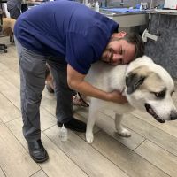 Broadway Veterinary Hospital ico