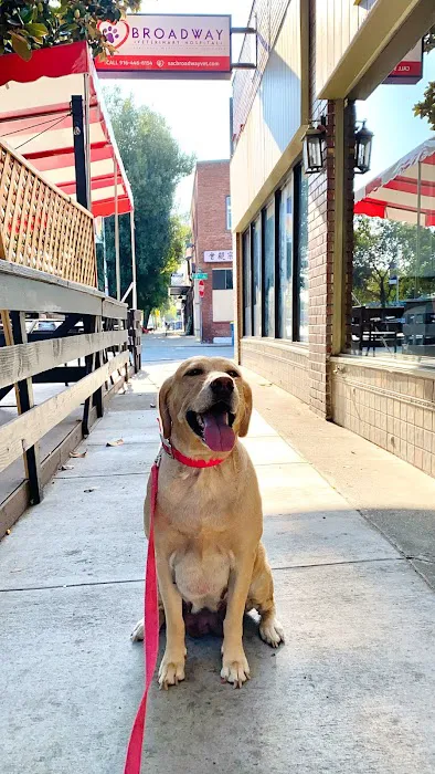 Broadway Veterinary Hospital Picture 2