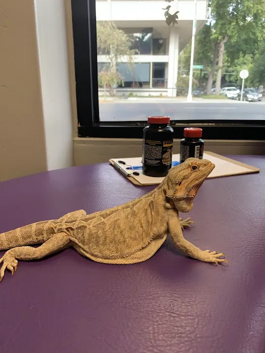 Broadway Veterinary Hospital Picture 5