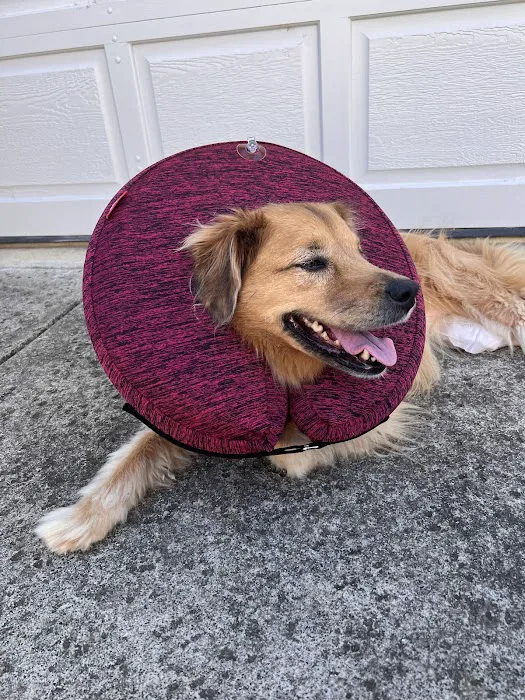 Broadway Veterinary Hospital Picture 10