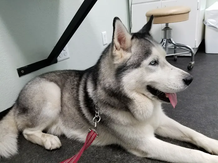Jefferson Park Veterinary Clinic Picture 6