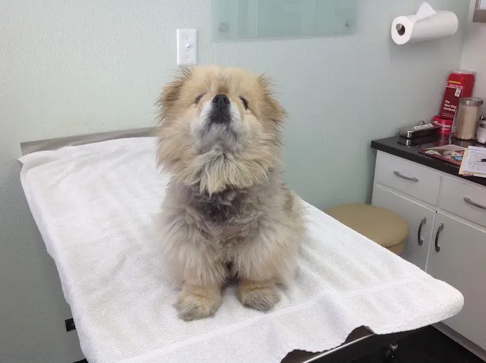 Jefferson Park Veterinary Clinic Picture 9