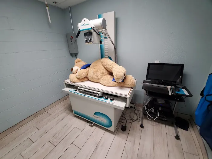 East Sacramento Veterinary Center Picture 8