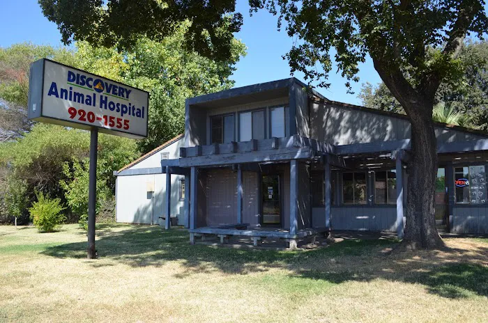 Discovery Animal Hospital Picture 6