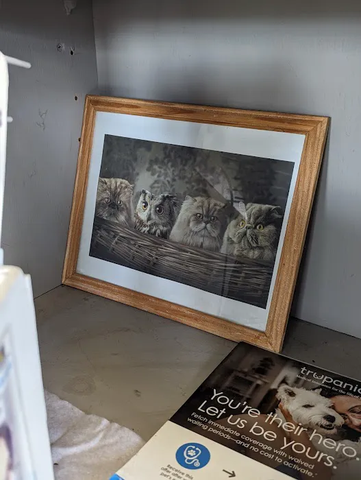 Discovery Animal Hospital Picture 10