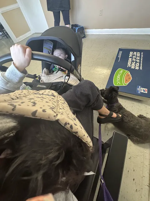 Birdneck Animal Hospital Picture 1
