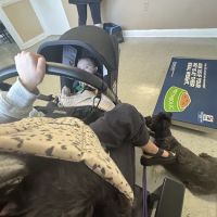 Birdneck Animal Hospital ico
