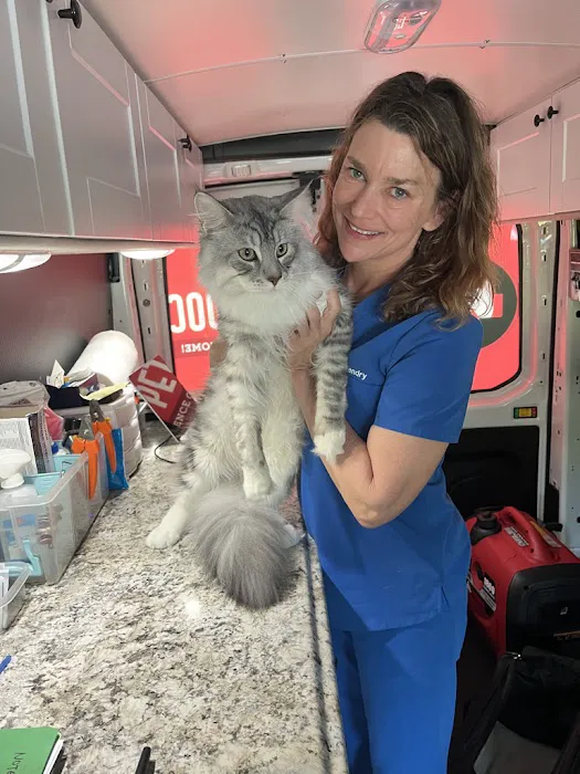 Mobile Pet Doc Picture 3