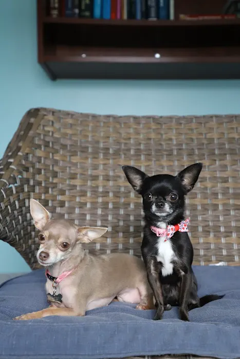 Beach Pet Hospital Picture 8