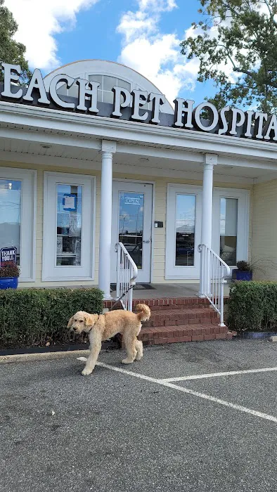 Beach Pet Hospital Picture 6