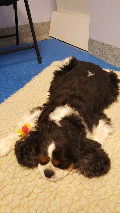 Beach Pet Hospital Picture 9