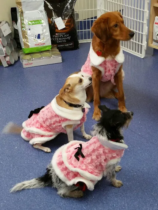 Animal Medical Center Picture 8