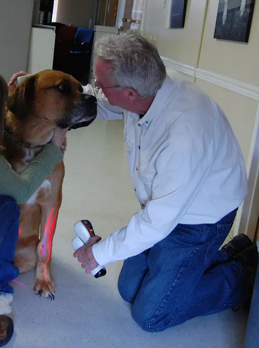 Center For Animal Healing Picture 3