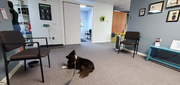 Center For Animal Healing Picture 5