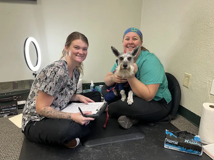 Center For Animal Healing Picture 10