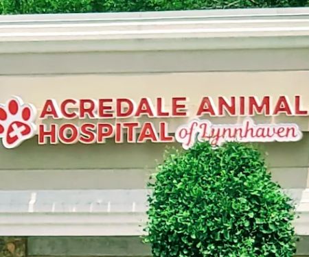 Acredale Animal Hospital