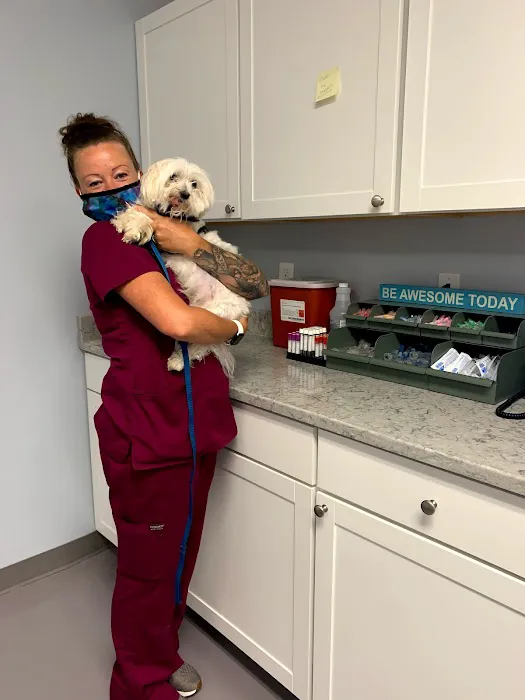 Acredale Animal Hospital Picture 7
