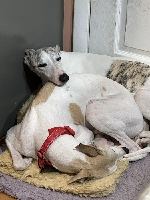 Acredale Animal Hospital Picture 6
