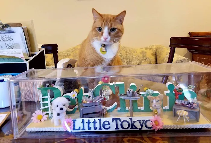 Little Tokyo Pet Clinic Picture 10