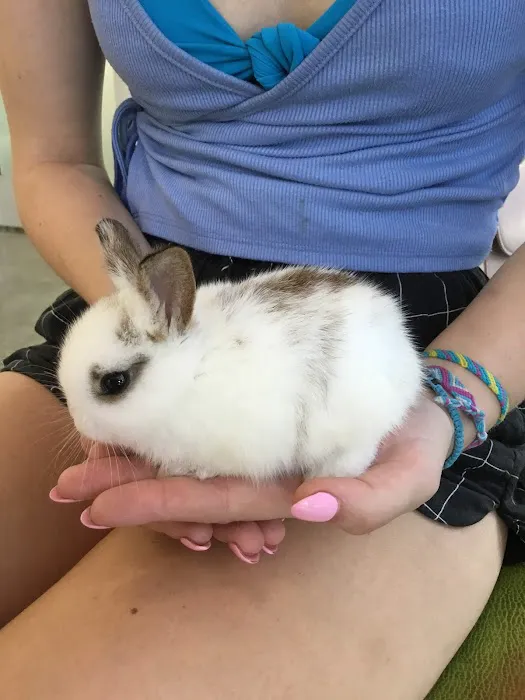 Little Tokyo Pet Clinic Picture 7