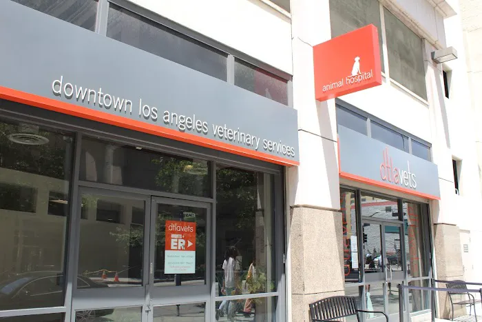 DTLAvets - Wellness and Urgent Care Services Picture 2