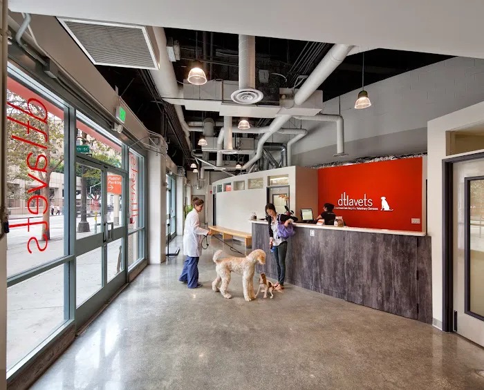 DTLAvets - Wellness and Urgent Care Services Picture 3
