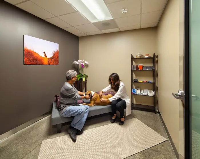 DTLAvets - Wellness and Urgent Care Services Picture 9