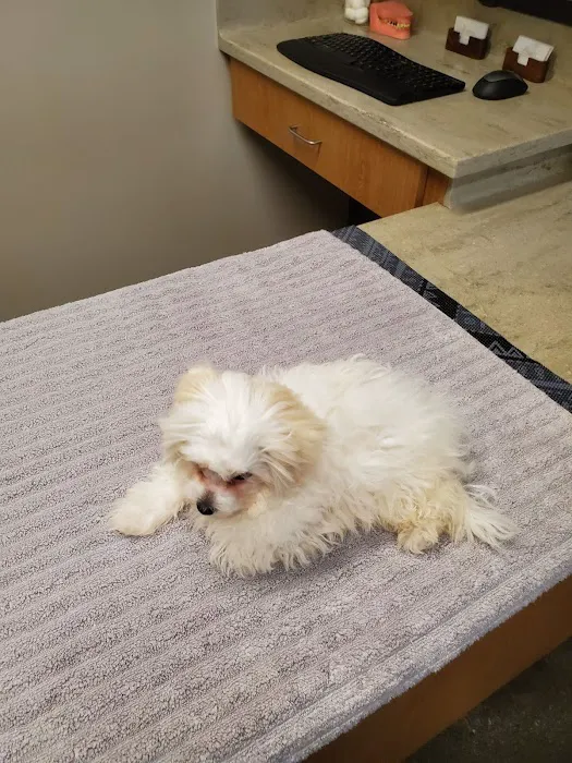 DTLAvets - Wellness and Urgent Care Services Picture 10