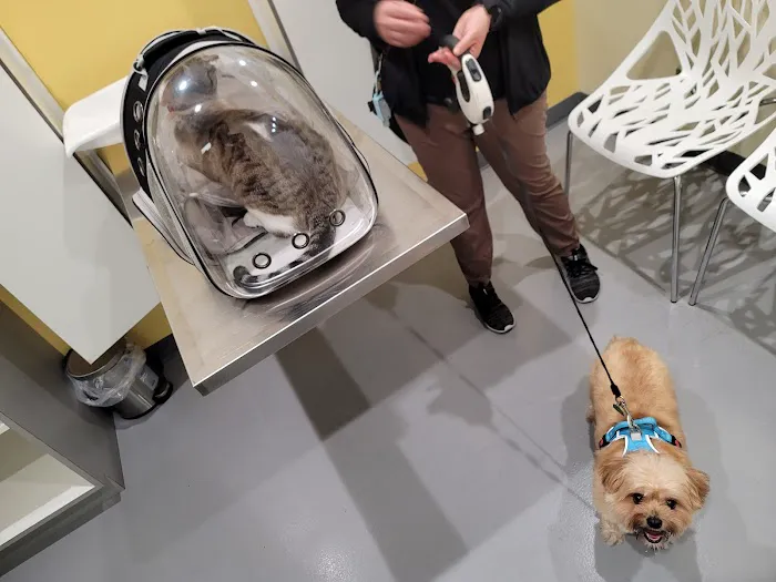Grand Park Animal Hospital Picture 1