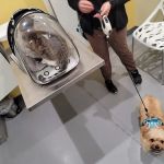 Grand Park Animal Hospital