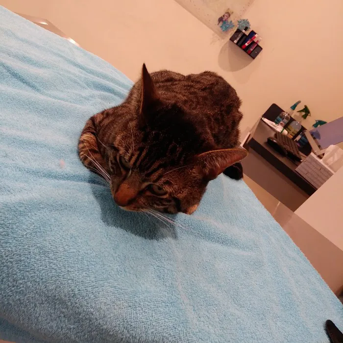 Grand Park Animal Hospital Picture 3