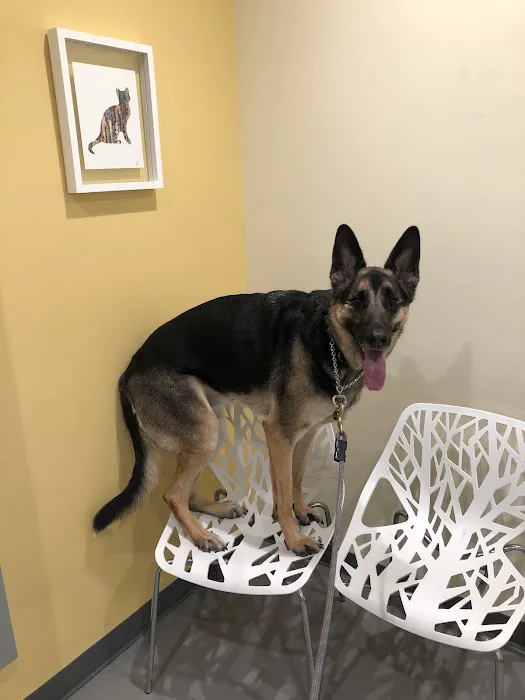 Grand Park Animal Hospital Picture 7