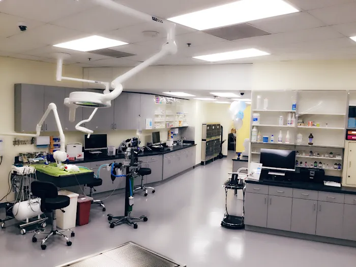 Grand Park Animal Hospital Picture 10