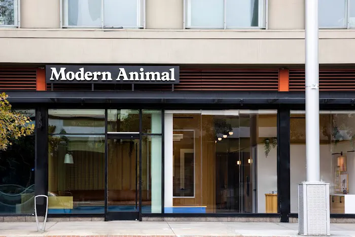 Modern Animal Picture 3